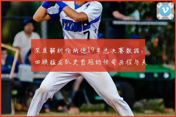 深度解析伦纳德19年总决赛数据，回顾猛龙队史首冠的传奇历程与关键战役